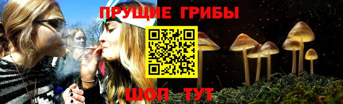 Галлюциногенные грибы мицелий Кудымкар